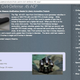 Image for article titled Microsoft Cracks Down On Unauthorized Halo-Branded Bullets